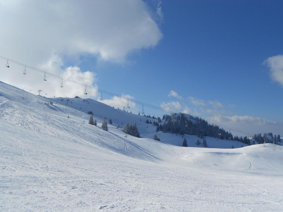 Hedonic Apartment Kopaonik Exterior photo