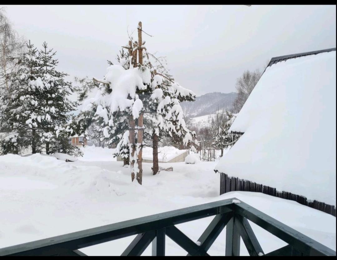 Hedonic Apartment Kopaonik Exterior photo